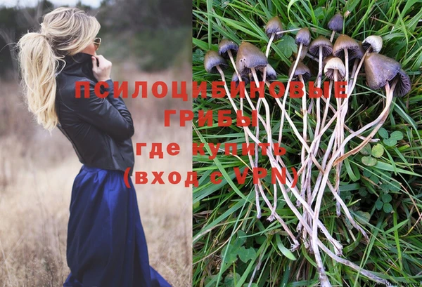 спиды Новокубанск